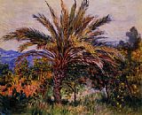 Tree Canvas Paintings - A Palm Tree at Bordighera